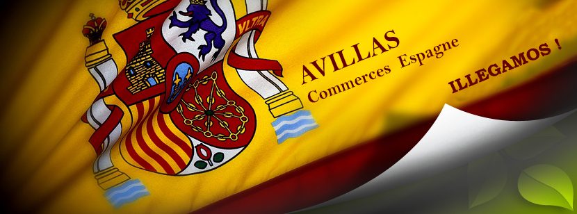 avillas-commerces-espagne.com