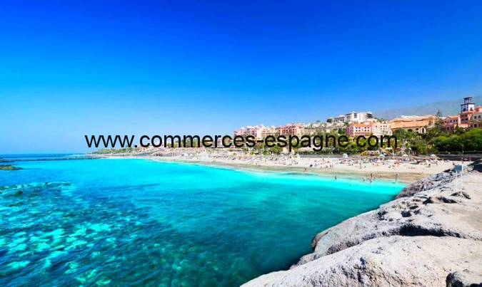 a-vendre-commerces-espagne.com-tenerife