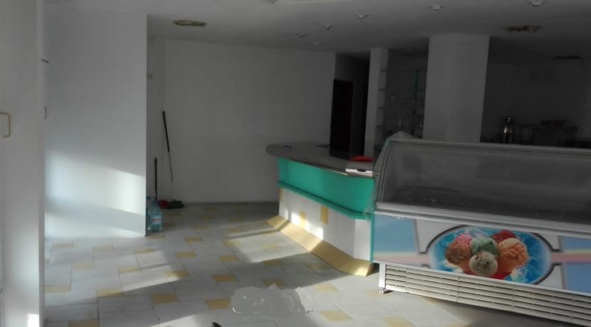 glacier-a-vendre-espagne-com20101-1