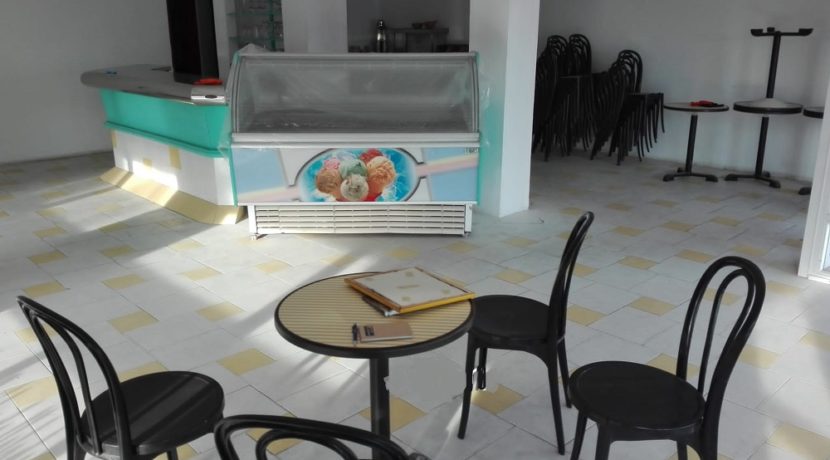 glacier-a-vendre-espagne-com20101-2