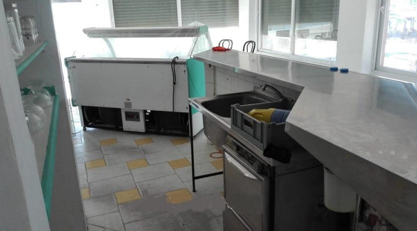 glacier-a-vendre-espagne-com20101-8