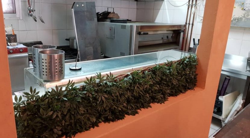 Alicante-Pizzeria-com20266-12