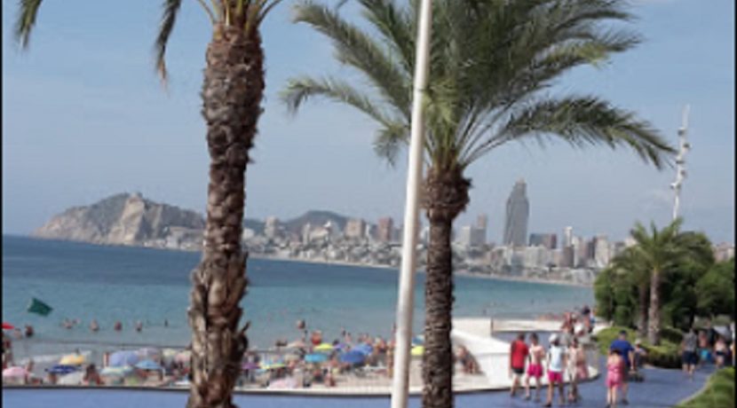 Benidorm-restaurant-com20257-2