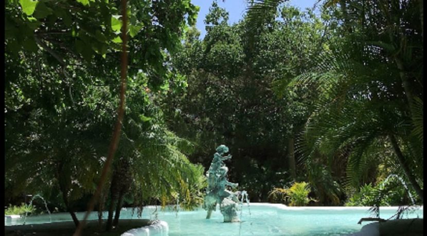 Estepona-restaurant-com20264-6