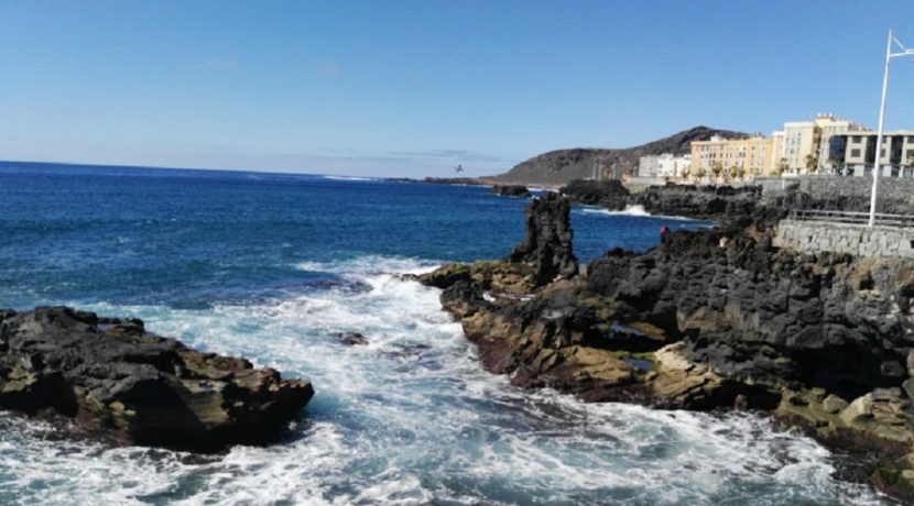 Las Palmas-restaurant-com20299-1