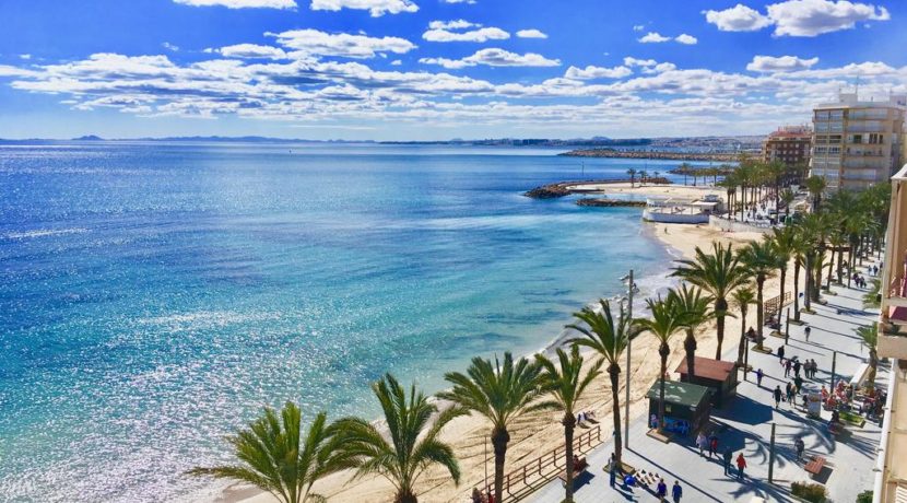 Restaurant TORREVIEJA COM47123