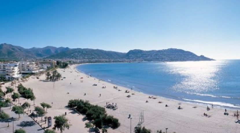 Roses-bar de nuit-com20260-1