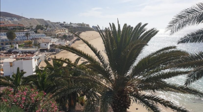 Fuerteventura-bar restaurant-com20315-2