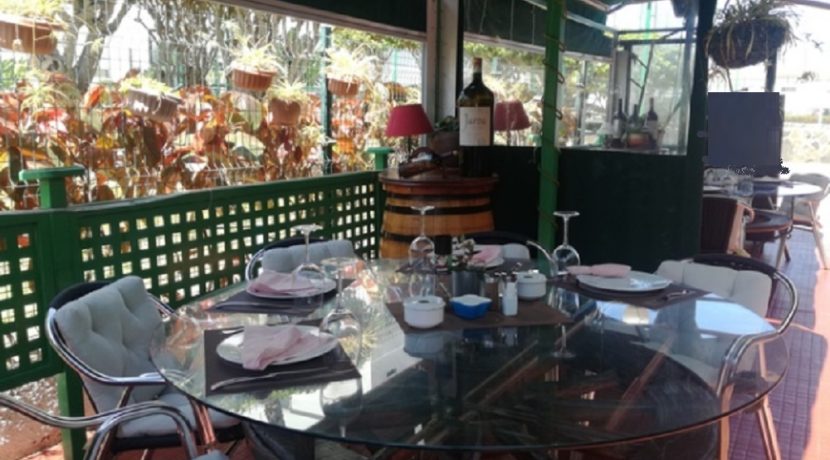 Mas palomas-restaurant-com20319-3