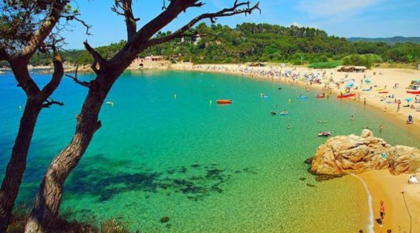 palamos-fonds-de-commerce-a-vendre