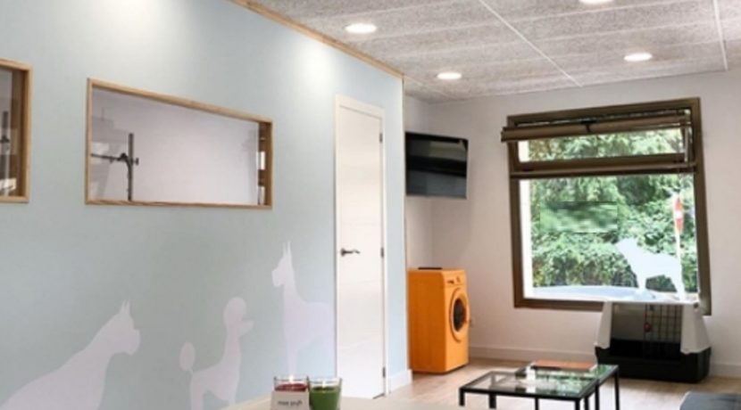 Playa del Aro-peluqueria canina-com20422-1