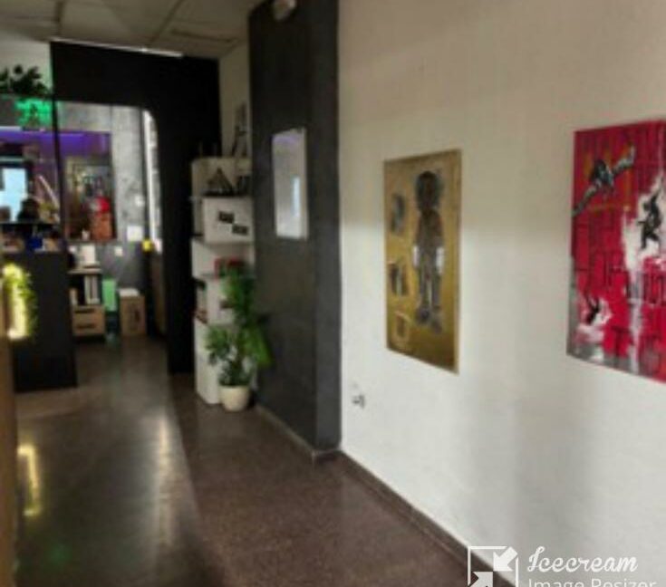 mini_Alicante - Cannabis Social Club - COM25009 - Entrée
